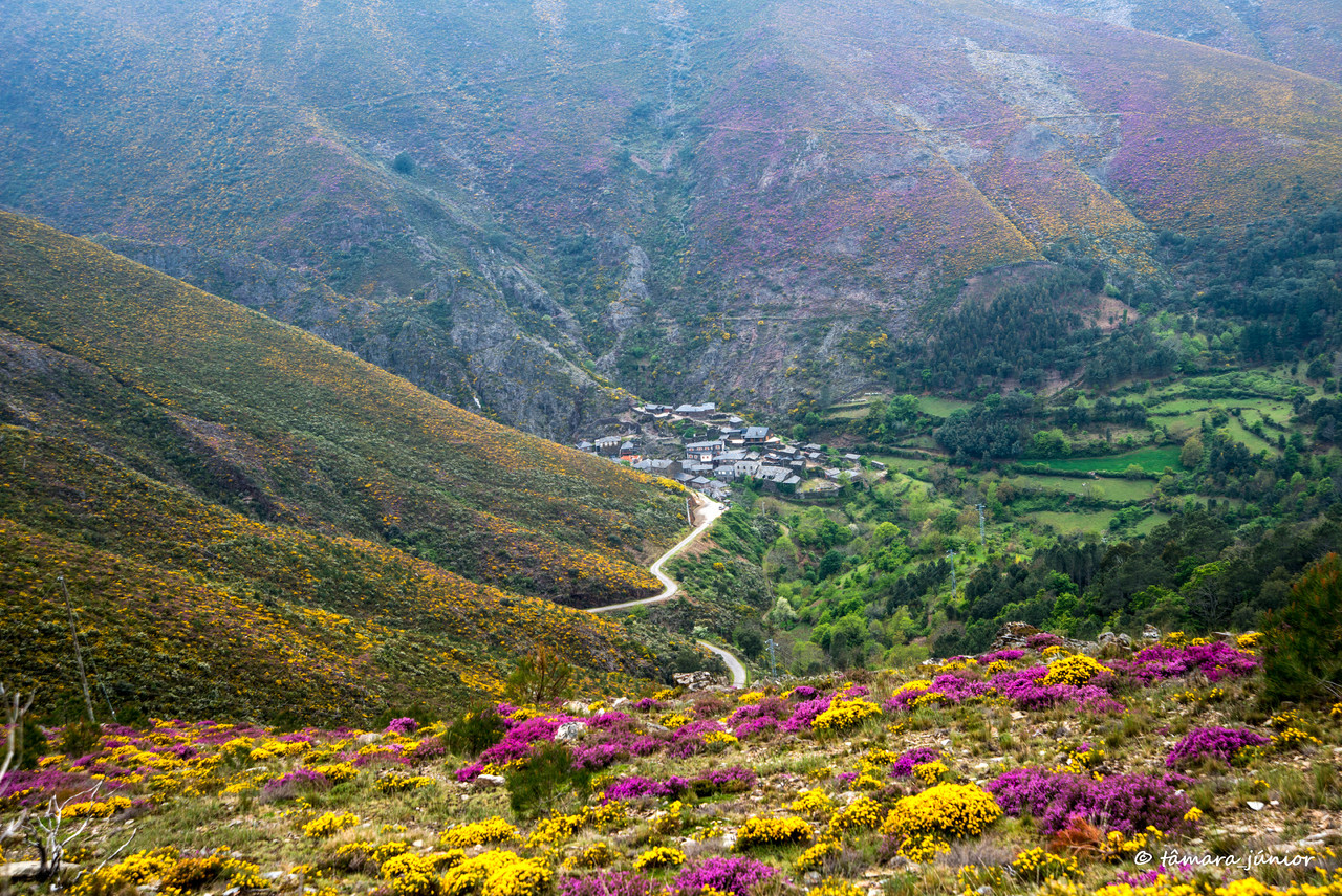 2015 - S. Pdro do Sul (Termas+Manhouce+Pena) (244)