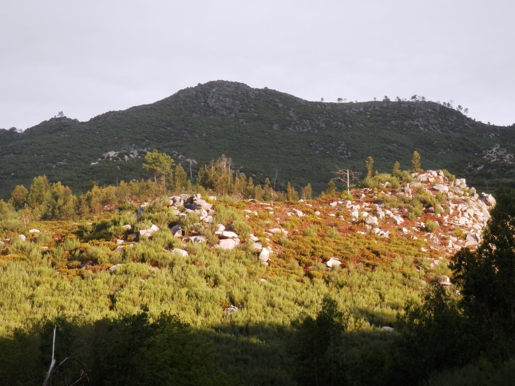 P9120500.JPG P9120500.JPG