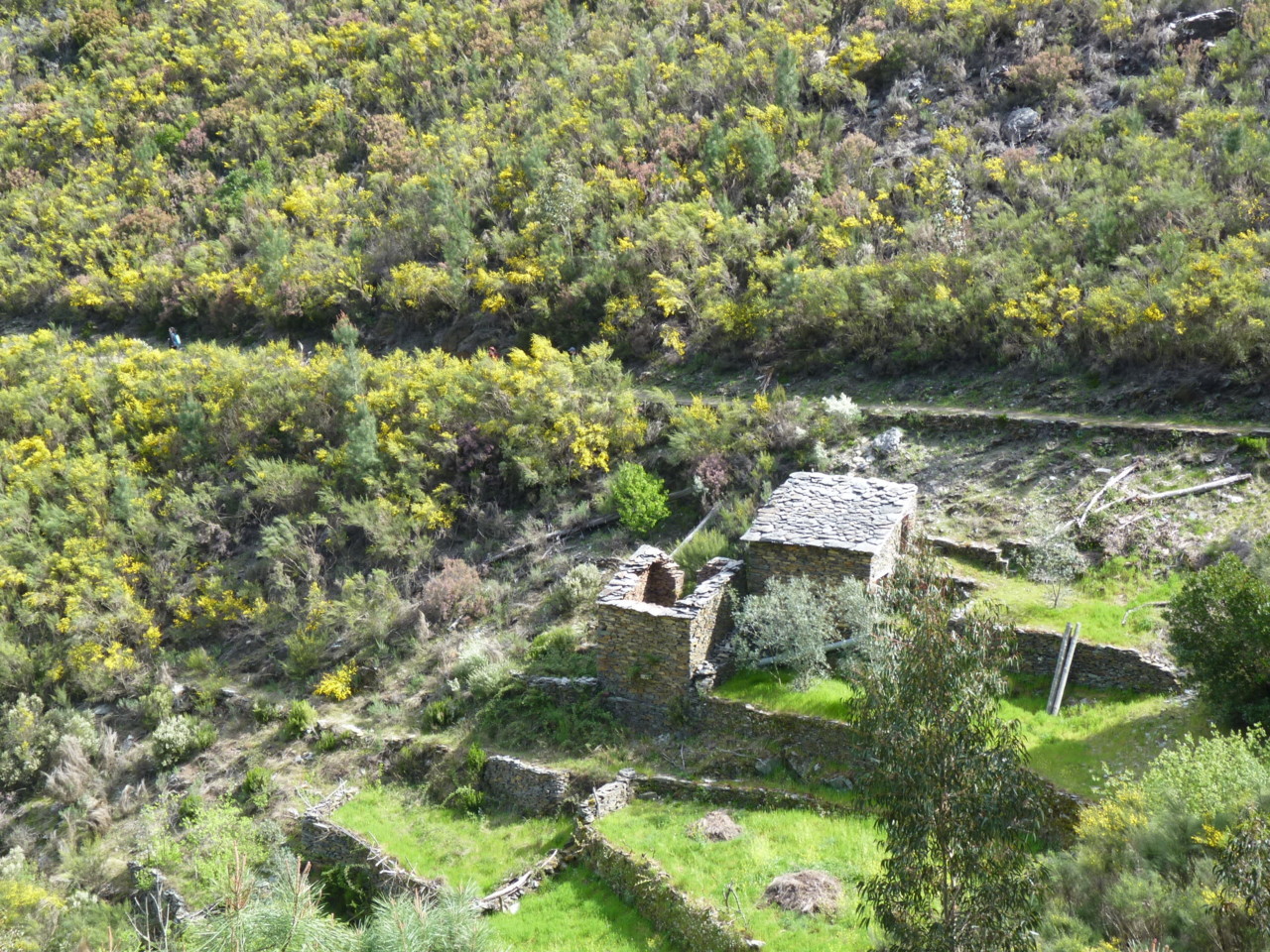 Piódão (18).JPG Piódão (18).JPG