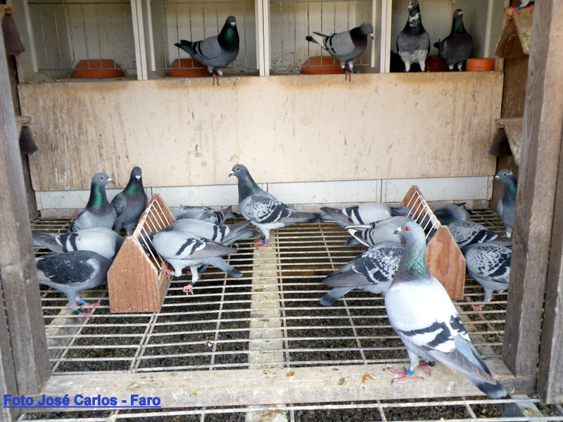 Lagos 019.JPG Lagos 019.JPG