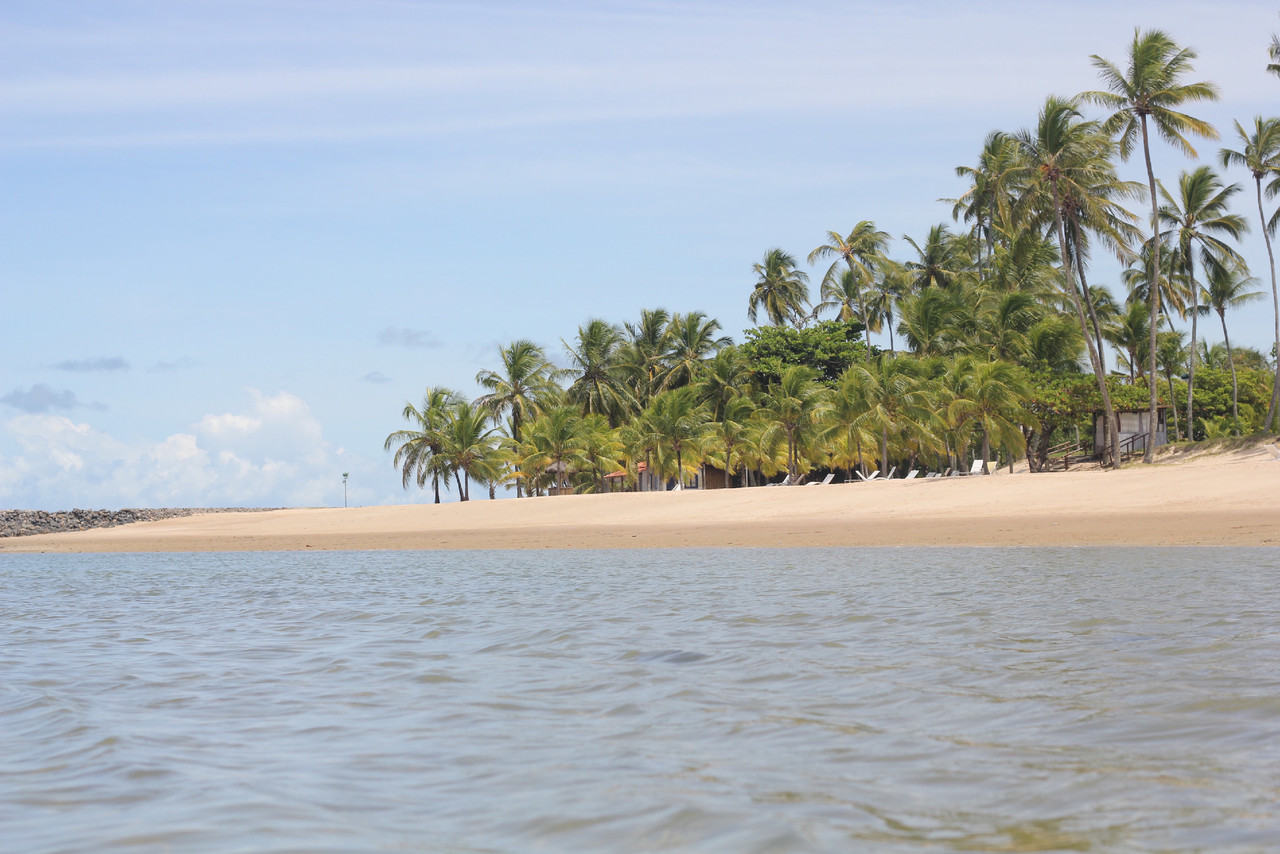 IMG_7918.jpg IMG_7918.jpg