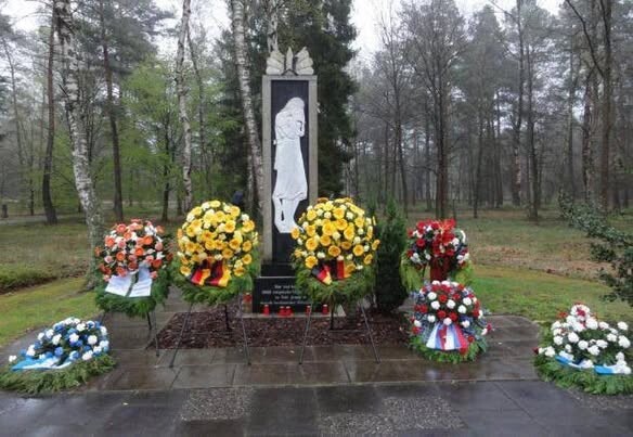 529216341_24189160567411848_7032190209123562377_n.