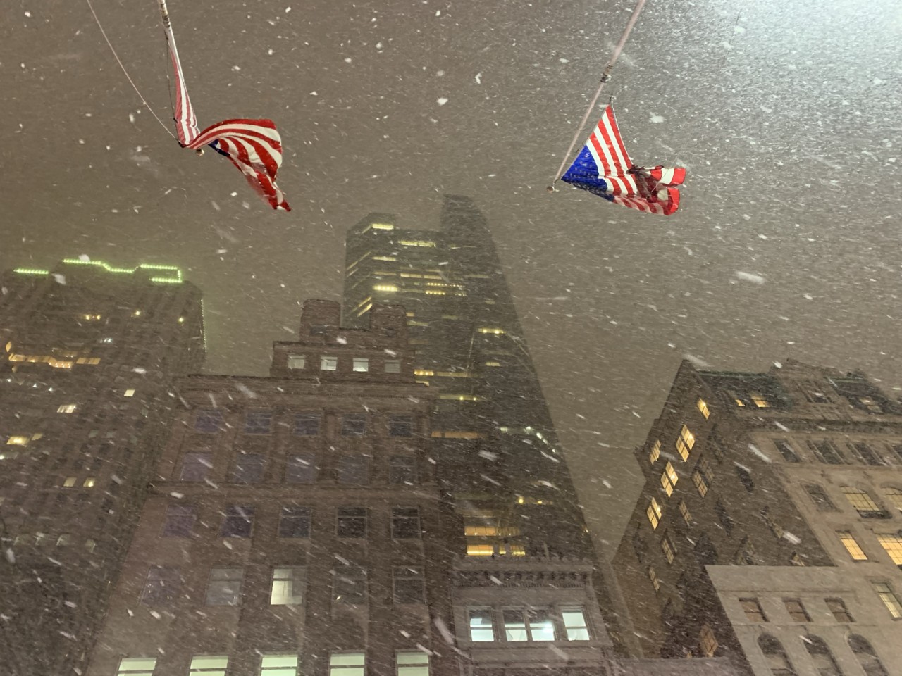 IMG_4230.jpg IMG_4230.jpg