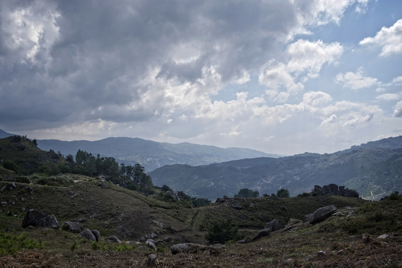 DSCF6820.jpg DSCF6820.jpg