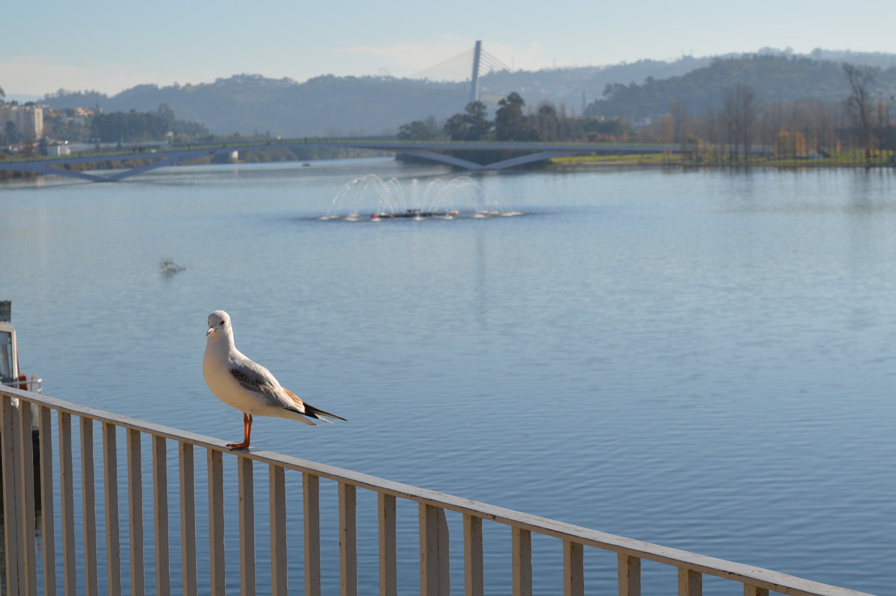 DSC_0295.JPG DSC_0295.JPG