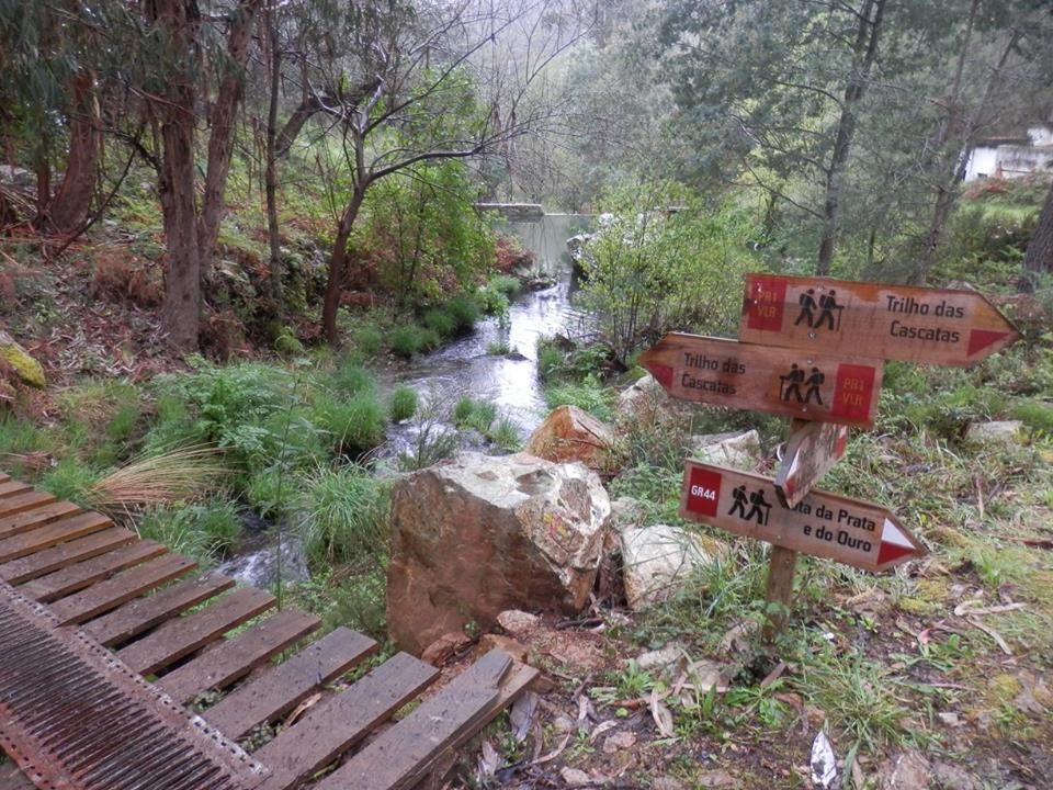 12809701_1147737675237822_5579378411436378665_n.jp 12809701_1147737675237822_5579378411436378665_n.jp