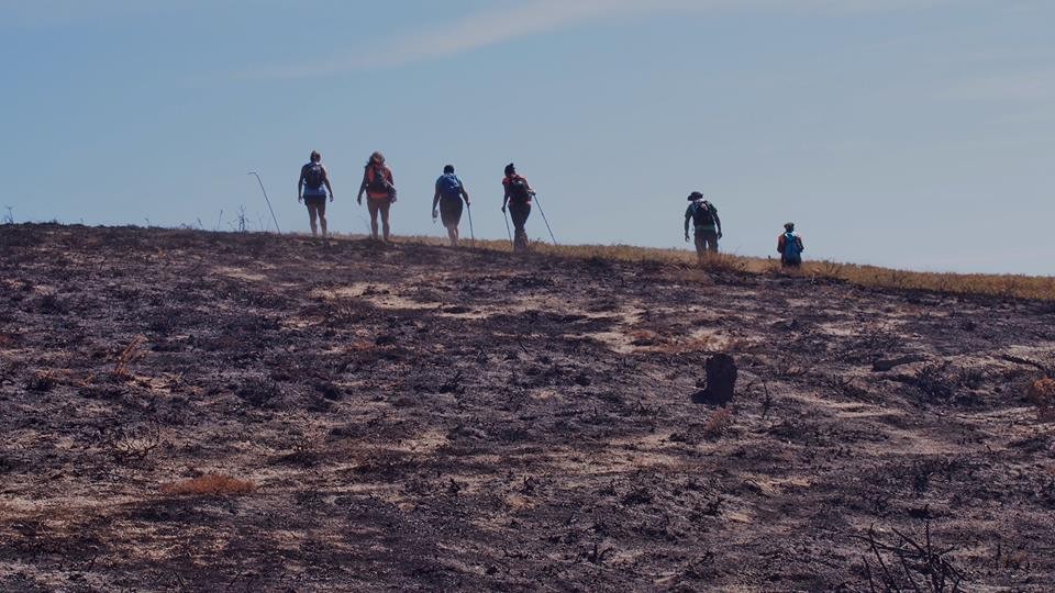 21314274_1786165828063502_6159228882296250852_n.jp