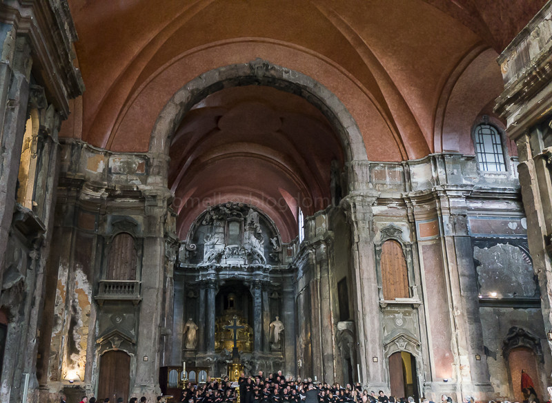 _DSC6772.jpg _DSC6772.jpg