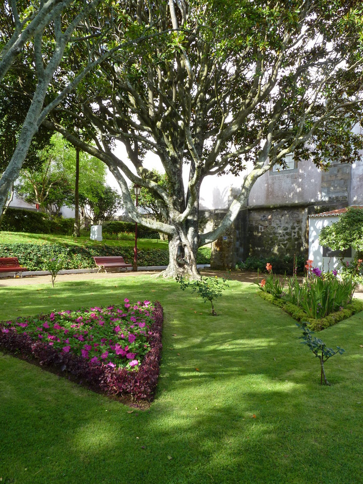 Angra - Jardim Duque da Terceira (46).JPG