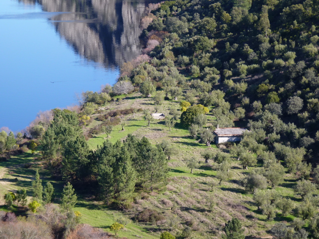 Conhal (6).jpeg Conhal (6).jpeg