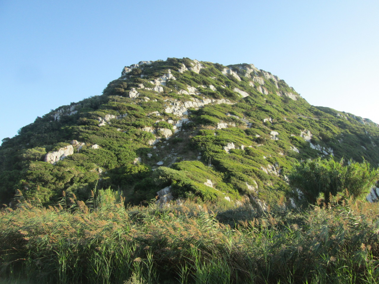 IMG_6689.JPG IMG_6689.JPG