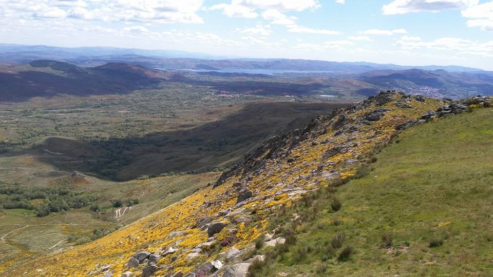 11045475_1016675351678043_1312092629620940717_n.jp