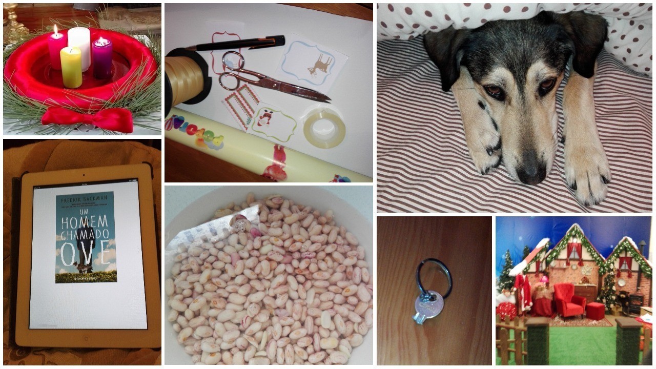 Untitled collage (9).jpg