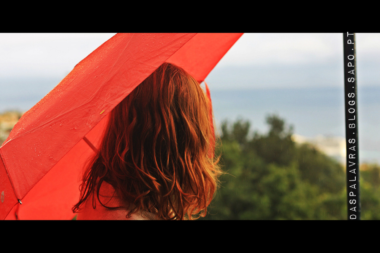 Dia não na Madeira - Maria das Palavras