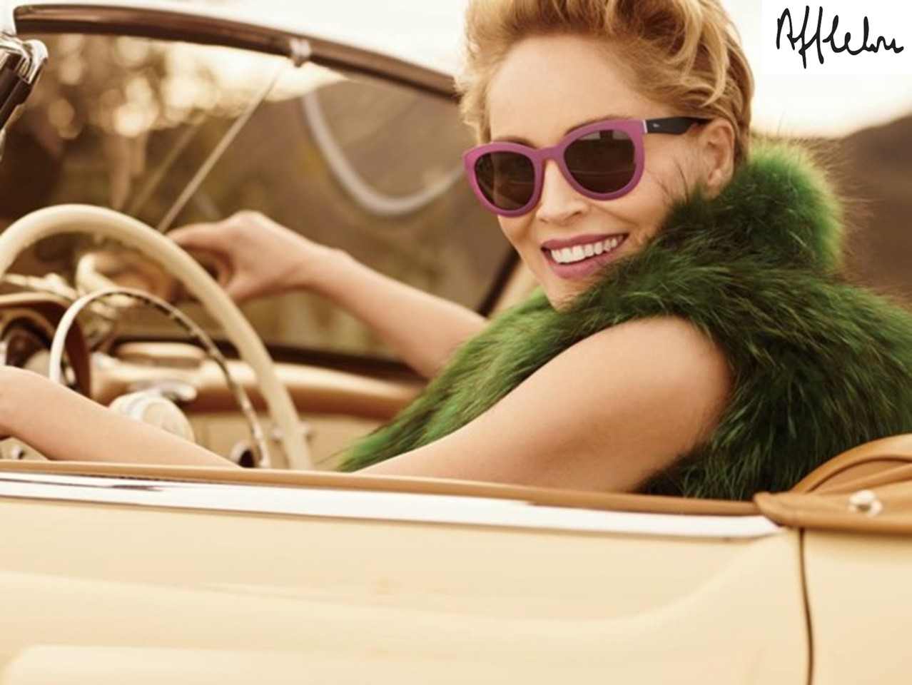 Sharon Stone_carro.jpg