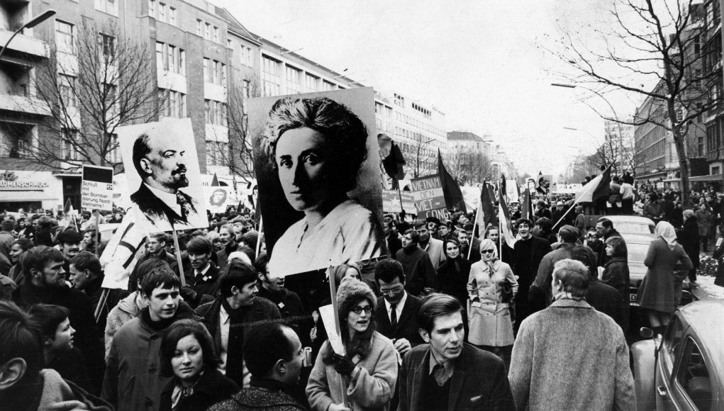 rosa128441-1021x580.jpg rosa128441-1021x580.jpg