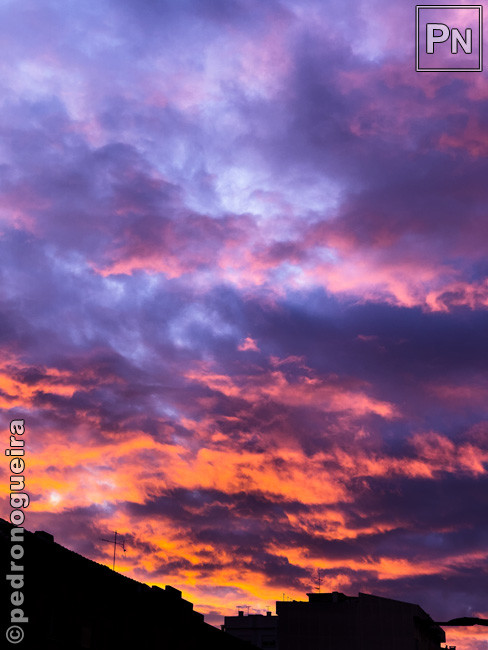 Abr_2021_054b 650px.jpg