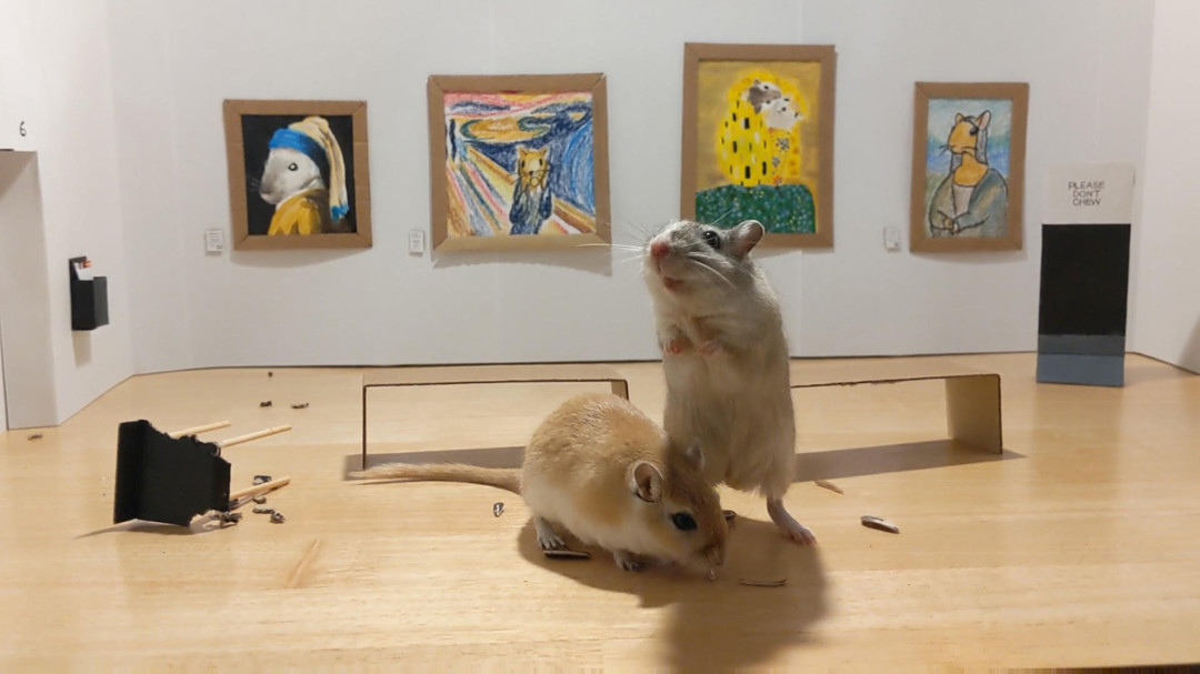 gerbil-museum-2-1080x607.jpg