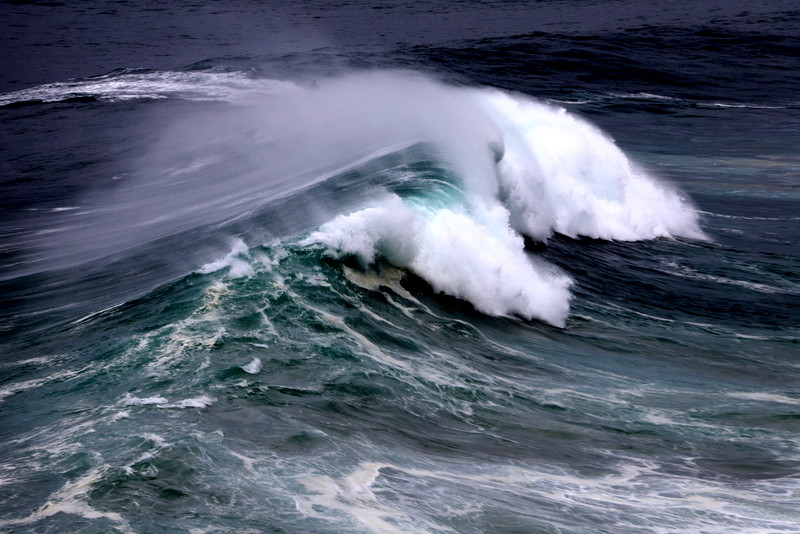 1-IMG_1801.JPG 1-IMG_1801.JPG