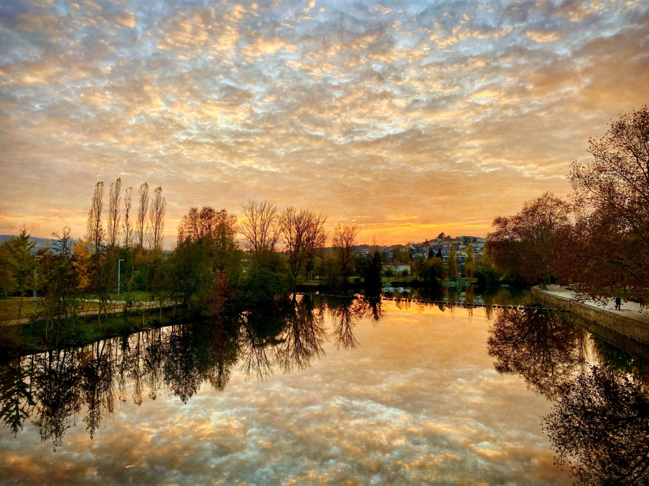 IMG_3114 - cópia.jpg