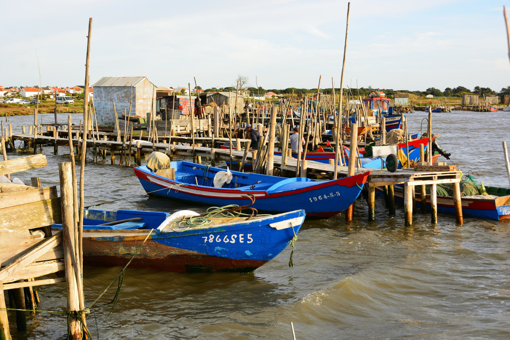 DSC_2916_01_00010.jpg DSC_2916_01_00010.jpg