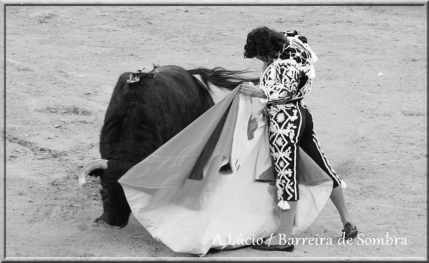 IMG_6705.JPG IMG_6705.JPG