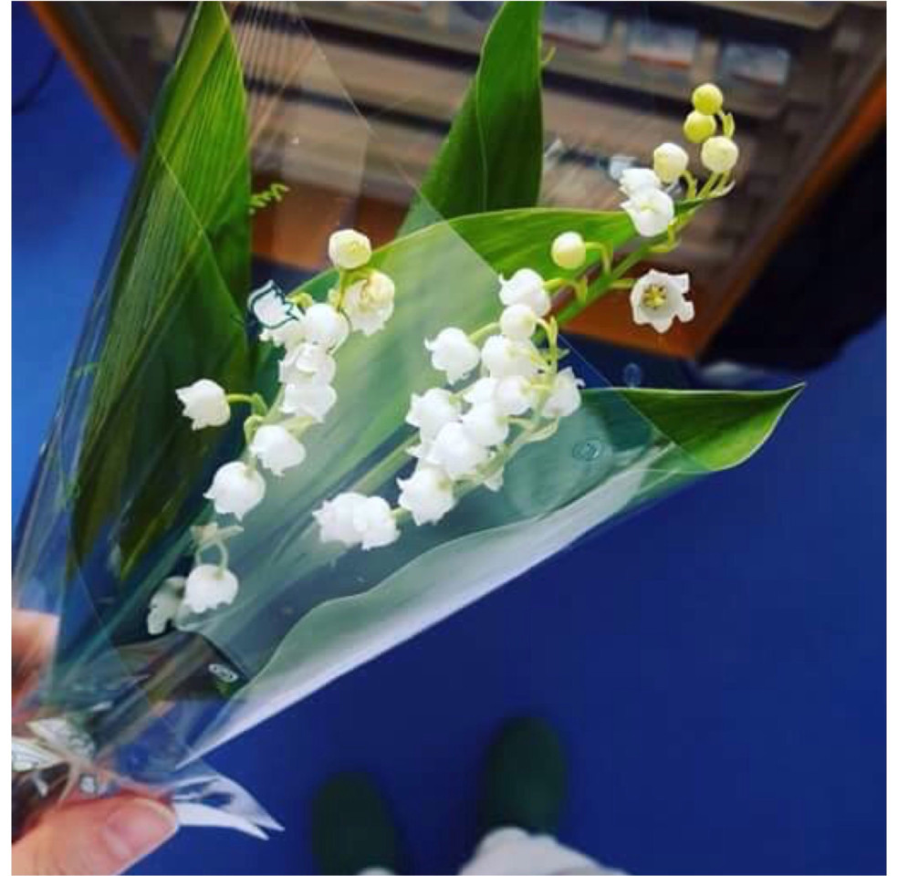 IMG_8552.JPG IMG_8552.JPG