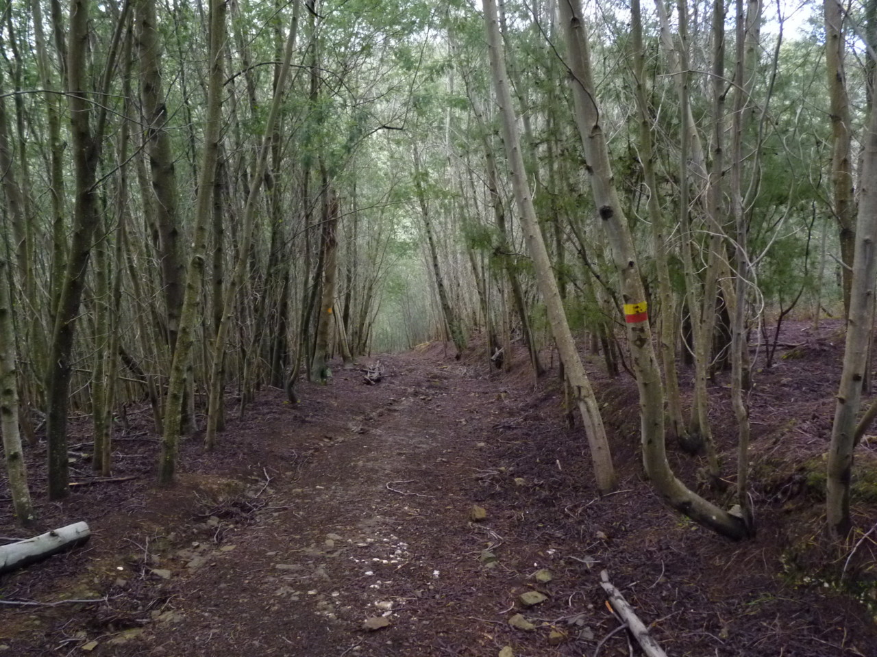 Lousã (24).JPG Lousã (24).JPG