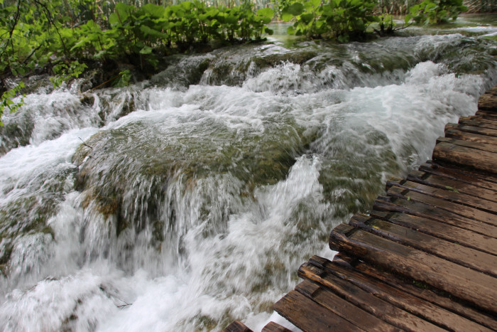 img_9675.jpg img_9675.jpg