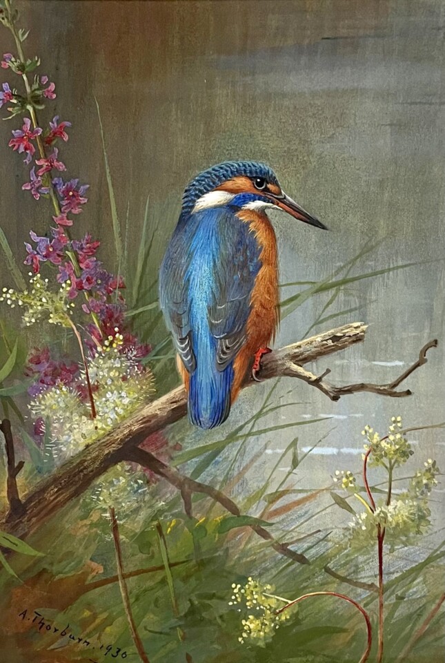 23Jan Guarda rios - Archibald Thorburn  (1860- 193