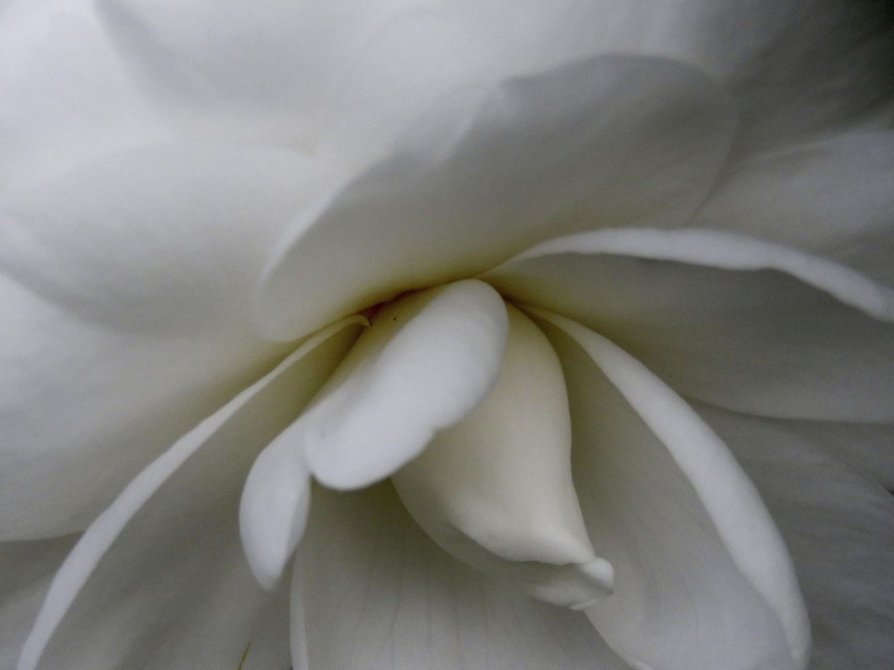 KbQQhHLuYY9MCknn03qF