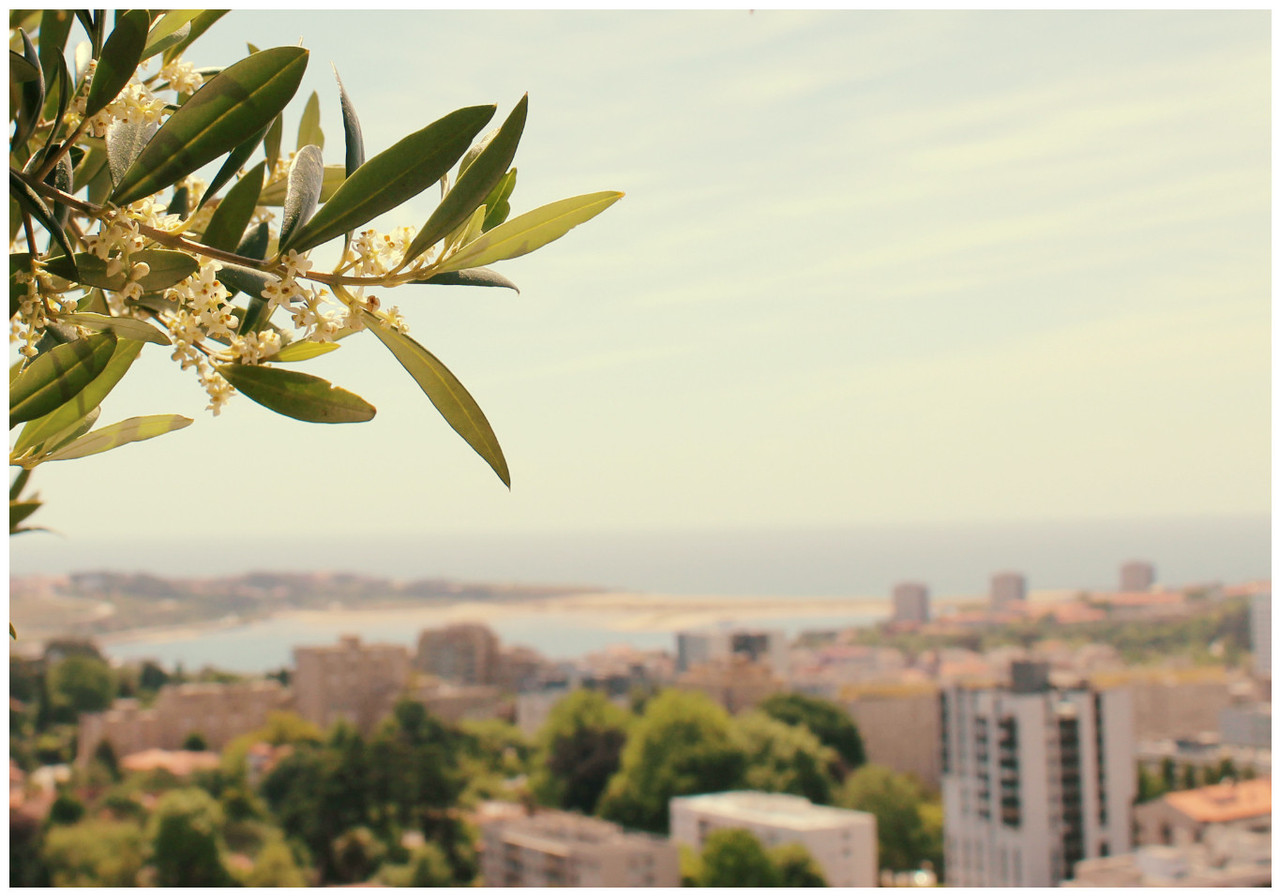 Porto Palácio Congress Hotel & Spa Porto Palácio Congress Hotel & Spa