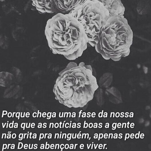 18057695_1432900866771304_3804970332519001367_n.jp