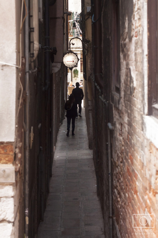 IMG_5553_net.jpg IMG_5553_net.jpg