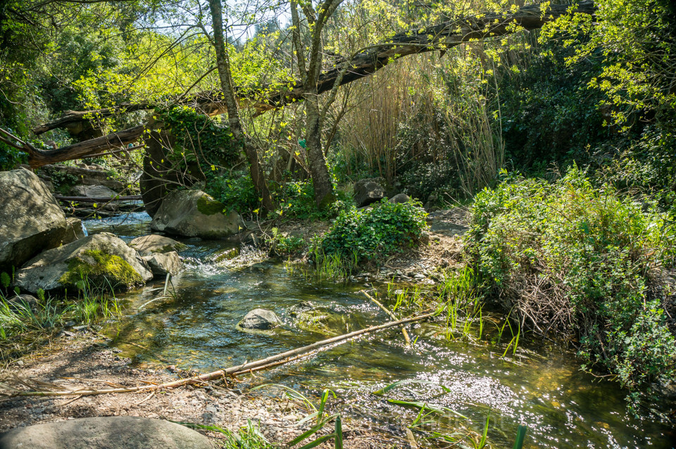 DSC08521.jpg DSC08521.jpg