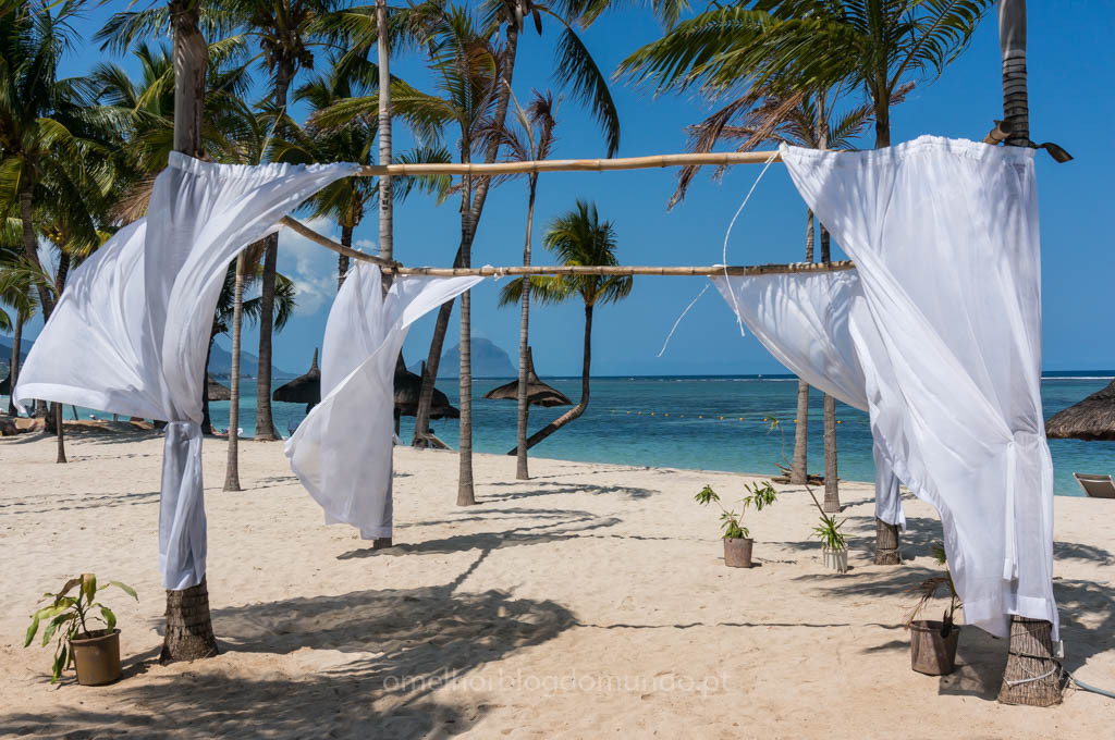 DSC01790.jpg DSC01790.jpg