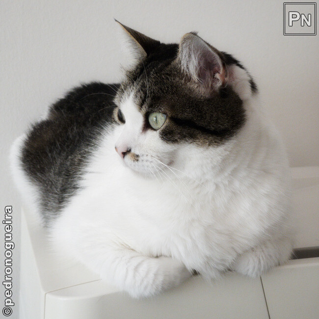 Set_2022_011 650.jpg