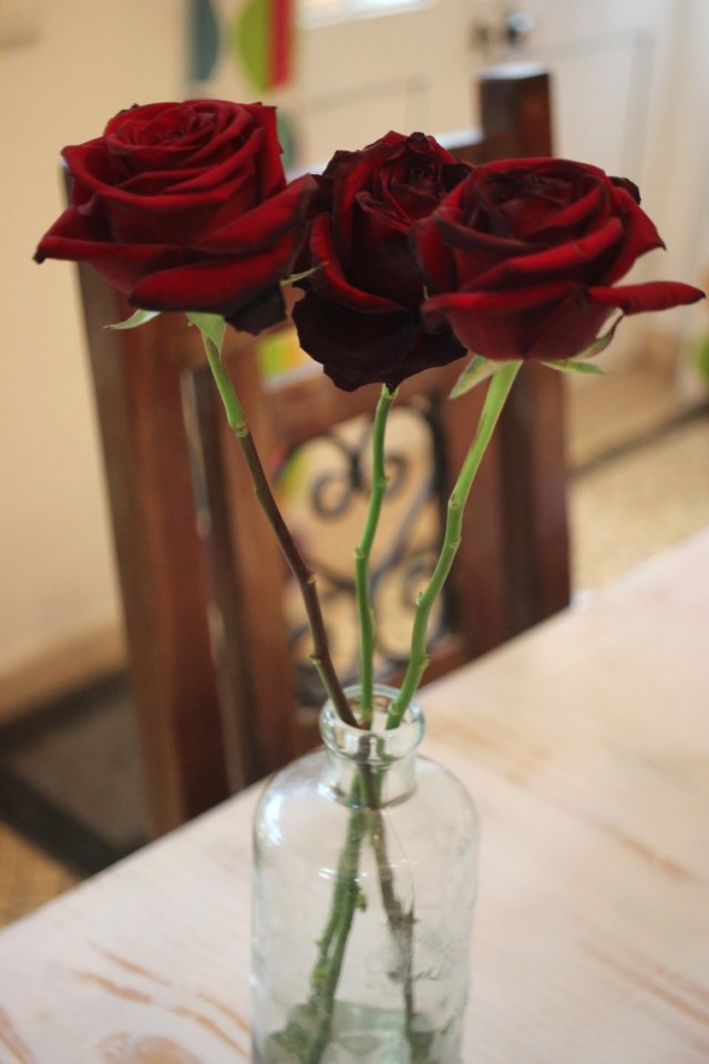 Quarentena - dia 14.jpg