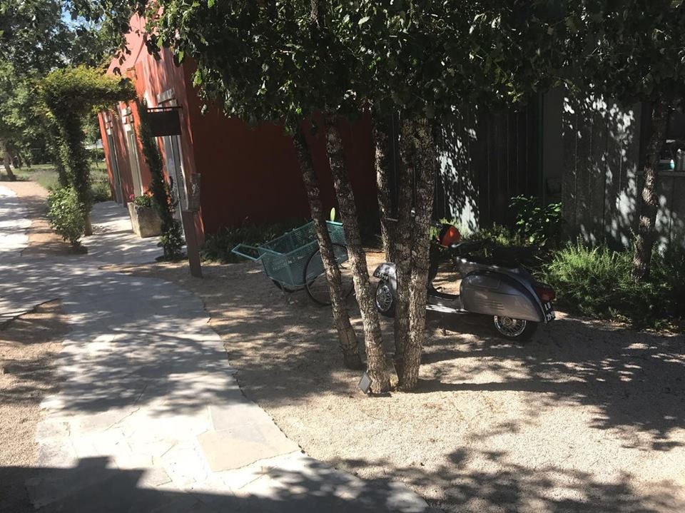 44183186_319057418877126_2470271348195196928_n.jpg 44183186_319057418877126_2470271348195196928_n.jpg