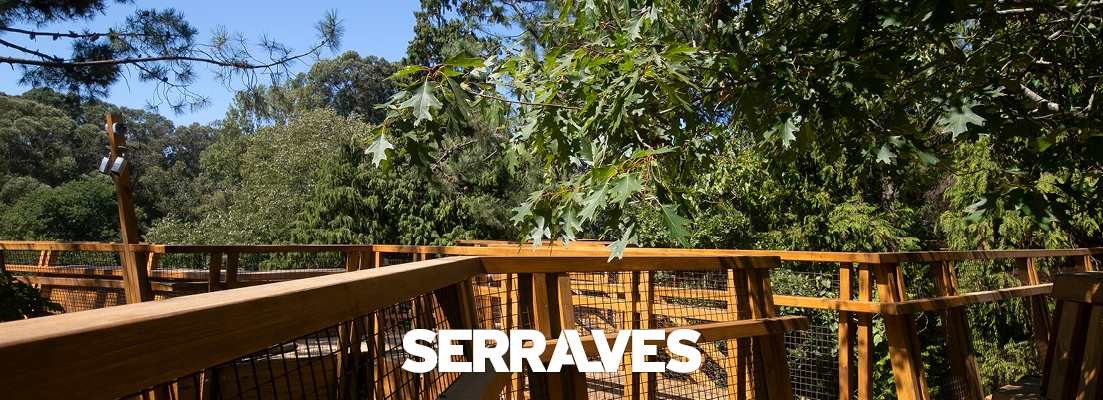 serralves parque.jpg