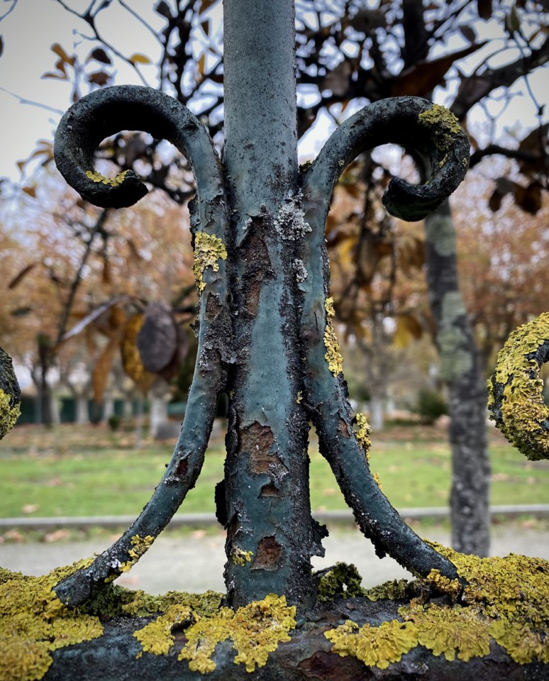 IMG_2889 (1) - cópia.jpg