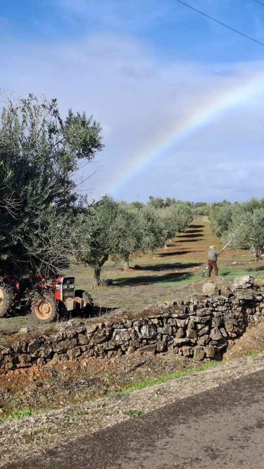 Imagem WhatsApp 2025-11-24 às 16.35.15_3dfb7136.j