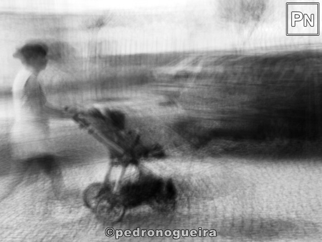 Ago_2022_007 650px.jpg