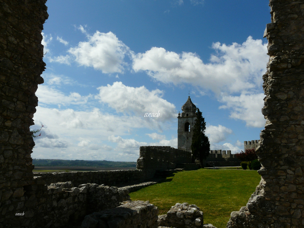 Castelo de Montemor-o-Velho (60) assin.jpg