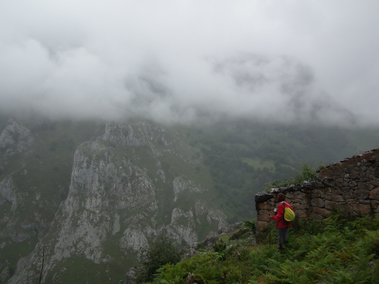 DSCF3002.JPG DSCF3002.JPG