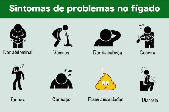sintomas-de-problemas-no-figado_16038_l.jpg