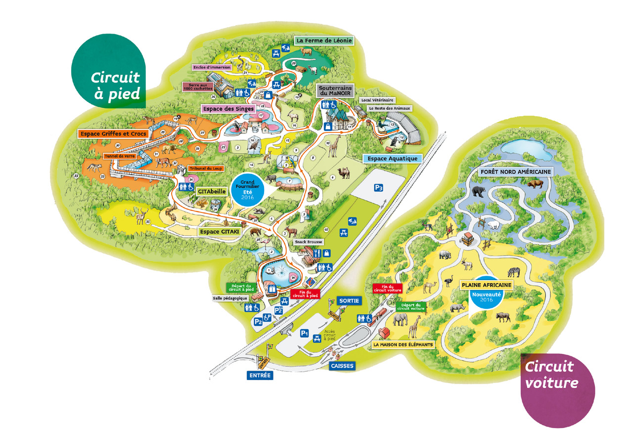 image.jpeg image.jpeg