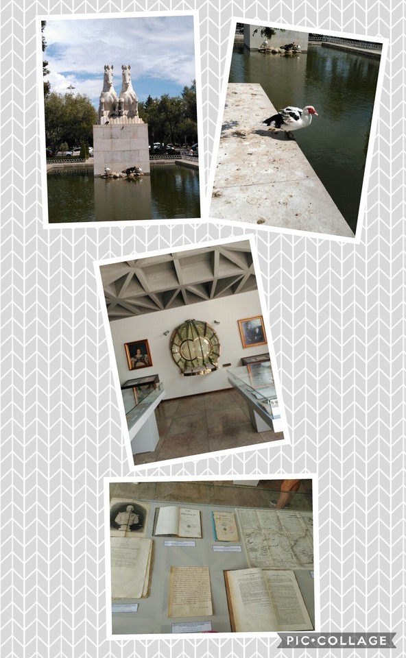 Collage 2017-08-31 22_34_09.jpg