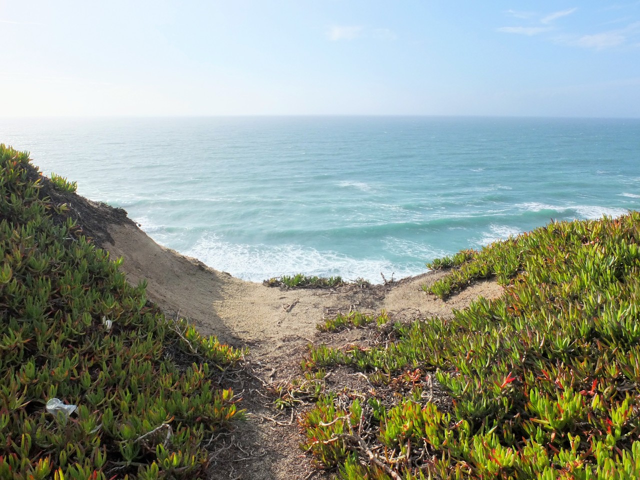 DSCF4820.JPG DSCF4820.JPG