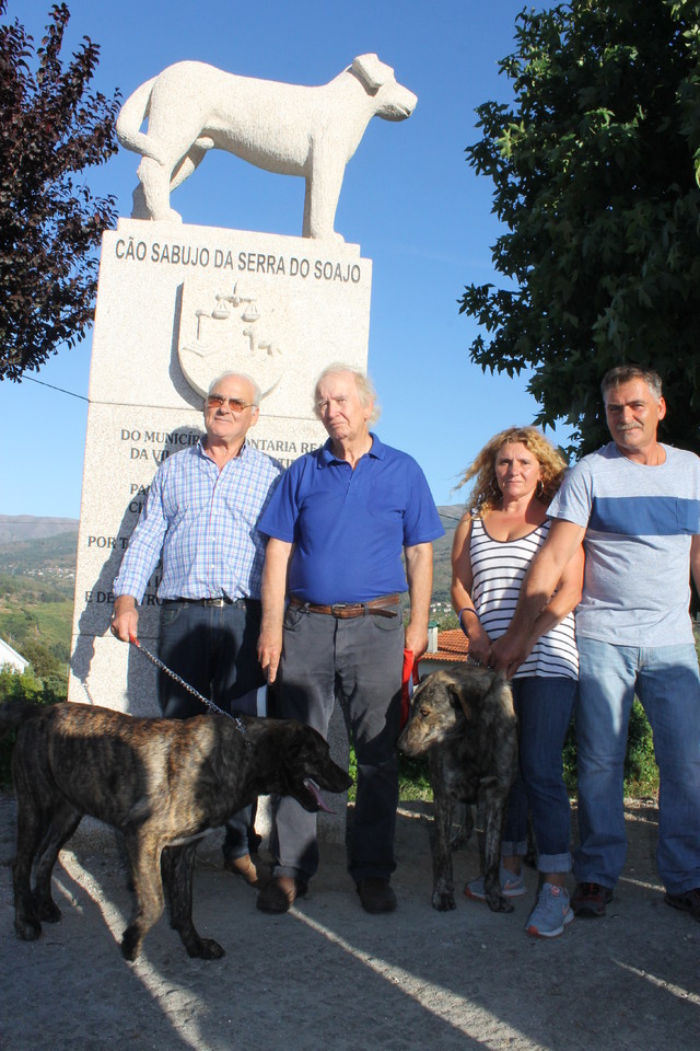 IMG_0716.JPG IMG_0716.JPG